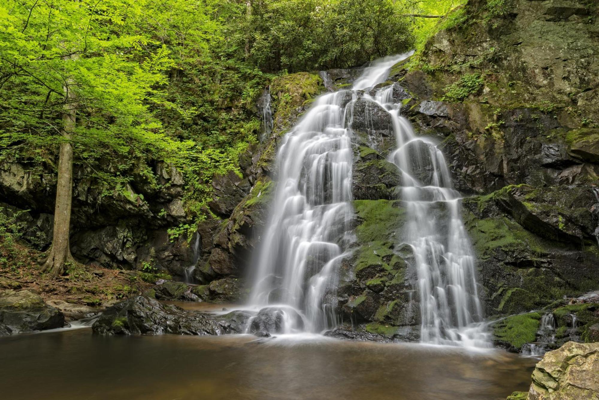 Vila Bear End Sevierville Exteriér fotografie